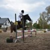 bABIE lATO 2018